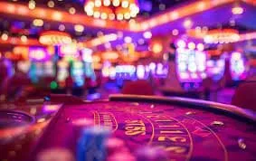 sportybet Bingo Agave Azul